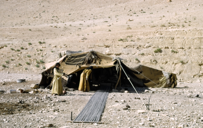 ZH214_gB_Tent